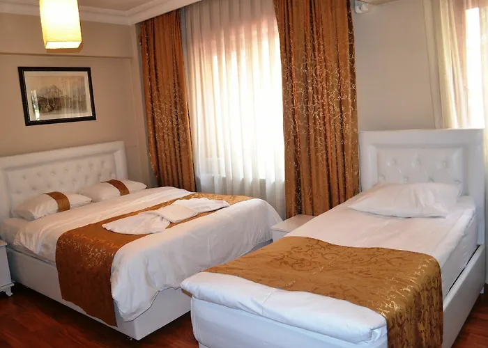 Comfort Hotel 3*